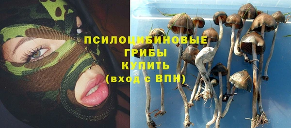 спиды Тихвин
