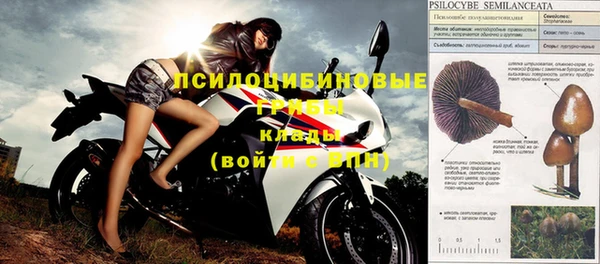 спиды Тихвин