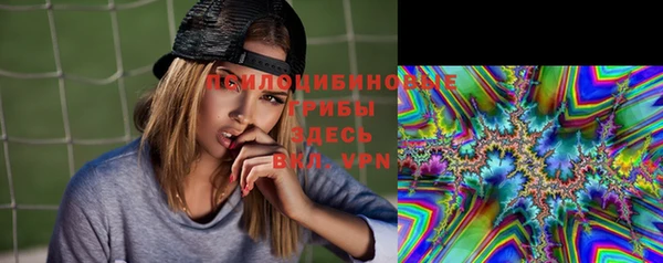 спиды Тихвин